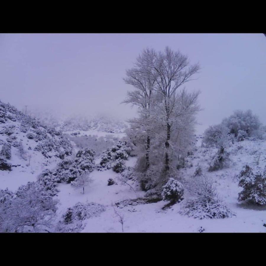 Villa Agno - Βίλα Αγνώ Ano Karies Dış mekan fotoğraf